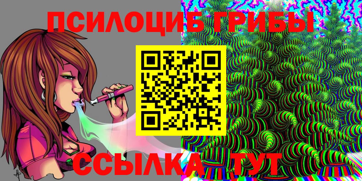 Псилоцибиновые грибы Psilocybe Клинцы