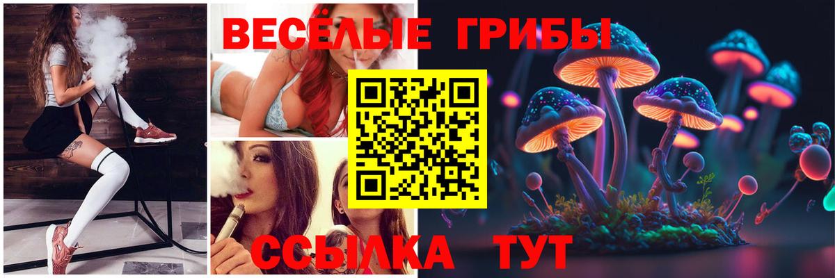 Галлюциногенные грибы MAGIC MUSHROOMS  Вход с VPN  Клинцы 